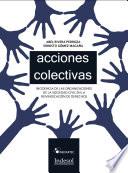 Acciones colectivas en Derecho Mexicano