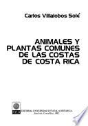 Animales y plantas comunes de las costas de Costa Rica