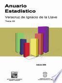 Anuario estadístico del estado de Veracruz 2006. Tomo III