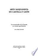 Arte Sanjuanista en Castilla y León