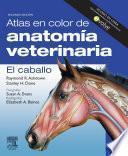 Atlas en color de anatomía veterniaria : el caballo