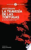 Ayotzinapa. La travesía de las tortugas