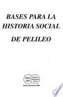 Bases para la historia social de Pelileo