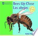 Bees Up Close / Las abejas
