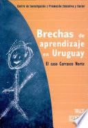 Brechas de aprendizaje en Uruguay