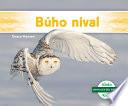 Búho nival (Snowy Owl)