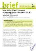 Capacitación multidimensional en restauración dirigida a los profesionales de América Latina