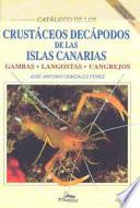 Catálogo de los crustáceos decápodos de las Islas Canarias