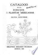 Catálogo de los dibujos de plantas mexicanas de Olivia Converse