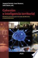 Cohesión e inteligencia territorial