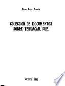Colección de documentos sobre Tehuacán, Pue