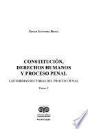 Constitucion, derechos humanos y proceso penal