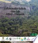 Deforestación Evitada. Una Guía REDD + Colombia