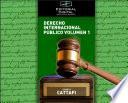 Derecho Internacional Público. Volumen 1