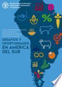 Desafíos y oportunidades en América del Sur