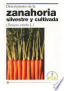 Descriptores de la zanahoria silvestre y cultivada (Daucus carota L.)