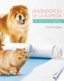 Diagnóstico de la alopecia en perros y gatos