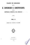 Diario de sesiones de la H. Convención N. Constituyente de la República Oriental del Uruguay (1916-1917)
