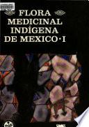 Diccionario enciclopédico de la medicina tradicional mexicana