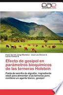 Efecto de gosipol en parámetros bioquímicos de las terneras Holstein