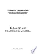 El banano y su desarrollo en Colombia