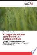 Eryngium Horridum