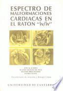 Espectro de malformaciones cardíacas en el ratón iv-iv (inversus viscerum)