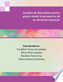 Estudios de diversidad sexual y género desde la perspectiva de los Derechos Humanos