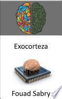 Exocorteza