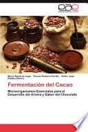 Fermentación Del Cacao