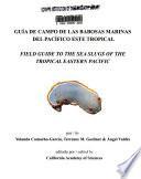 Field guide to the sea slugs of the tropical eastern Pacific