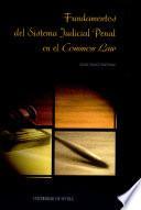 Fundamentos del sistema judicial penal en el common law