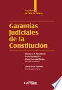 Garantías judiciales de la Constitución Tomo V