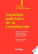 Garantías judiciales de la Constitución. Volumen II, Acción pública de inconstitucionalidad
