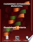 Guadalupe Victoria estado de Puebla. Cuaderno estadístico municipal 1997