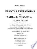 Guía Práctica Para Las Plantas Trepadoras de la Bahia de Chamela, Jalisco, México