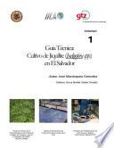 Guia Tecnica: Cultivo de Jiquilite (Indigofera spp.) en El Salvador