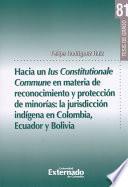 HACIA UN LUS CONSTITUCIONALE COMMUNE EN MATERIA DE RECONOCIMIENTO Y PROTECCIÓN DE MINORÍAS: LA JURISDICCIÓN INDÍGENA EN COLOMBIA, ECUADOR Y BOLIVIA. TESIS DE GRADO N° 81