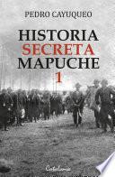 Historia secreta mapuche 1