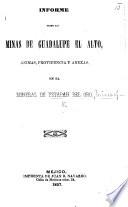Informe sobre las minas de Guadalupe el Alto, Animas, Providencia y anexas, en el mineral de Y. del O.