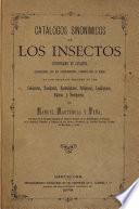 Insectos de Cataluña