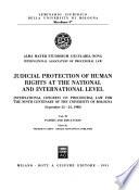 Judicial Protection of Human Rights at the National and International Level: Papers and discussion
