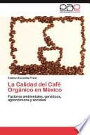 La Calidad Del Café Orgánico en México