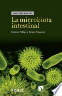 La microbiota intestinal