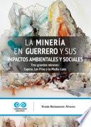 La minería en Guerrero y sus impactos ambientales y sociales