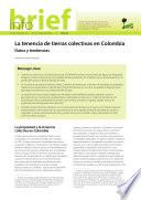 La tenencia de tierras colectivas en Colombia