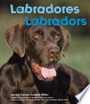 Labradores/Labradors