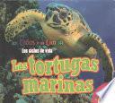 Las Tortugas Marinas
