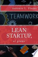 Lean Startup, Al Grano