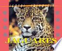 Los jaguares y leopardos